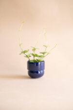 osłonka RUNO small (kobalt)