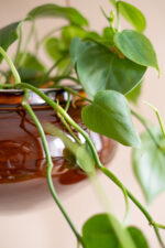 osłonka ceramiczna OVAL na rzemyku (miodowa) - obrazek 2