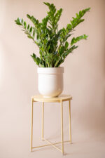 donica TUBBA (beżowa błysk) - obrazek 3