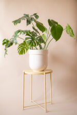 donica TUBBA (beżowa błysk)