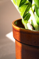 donica TUBBA (miodowa błysk) - obrazek 4