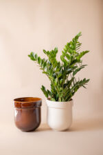 donica TUBBA (miodowa błysk) - obrazek 3