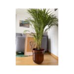 donica TUBBA (miodowa błysk) - obrazek 6