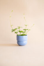 osłonka RUNO (small) niebieski