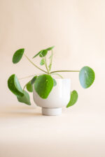 donica BULVA (beżowa) - obrazek 2