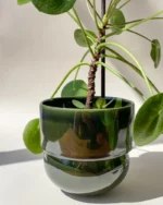 osłonka RUNO small (ciemna zieleń)