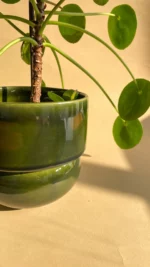 osłonka RUNO (midi) ciemna zieleń - obrazek 2