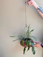 osłonka ceramiczna OVAL z mosiężną zawieszką (ciemny róż) - obrazek 2