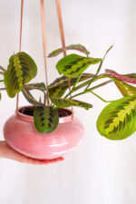 osłonka ceramiczna OVAL na rzemyku (jasny róż) - obrazek 2