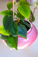 osłonka ceramiczna OVAL na rzemyku (jasny róż) - obrazek 5