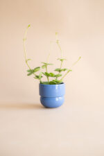 osłonka RUNO (small) niebieski