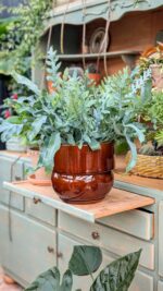 osłonka RUNO XL (extra large) miód - obrazek 8