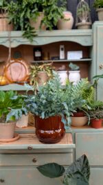 osłonka RUNO XL (extra large) miód - obrazek 9