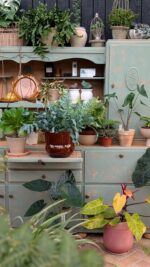 osłonka RUNO XL (extra large) miód - obrazek 10